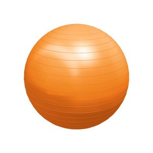 Bola Suiça p/ Ginástica e Pilates - Carci - Tamanho 75cm Laranja