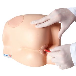 Simulador para Sonda Retal e Injeção Intramuscular