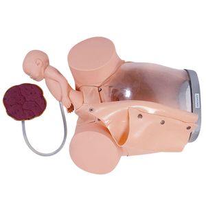 Simulador de Parto com Cervix, Episiotomia e Feto com Placenta