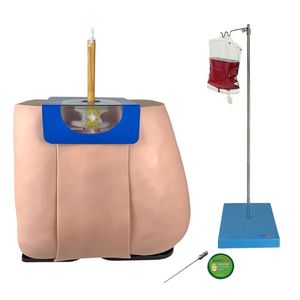 Simulador para Treino de Punção e Infusão Lombar