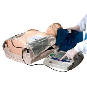 Simulador Torso para Treinamento RCP e DEA