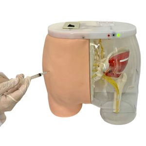 Simulador para Treino de Injeção Intramuscular no Glúteo com Visualização da Estrutura Interna e Dispositivo de Sinalização de Advertência