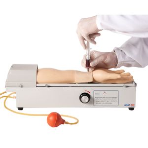 Braço para Treino de Punção em Artéria Radial Rotativo