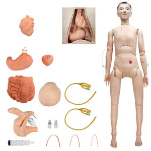Manequim Adulto Bissexual para Treino de Enfermagem com Braço Avançado e Órgãos Internos